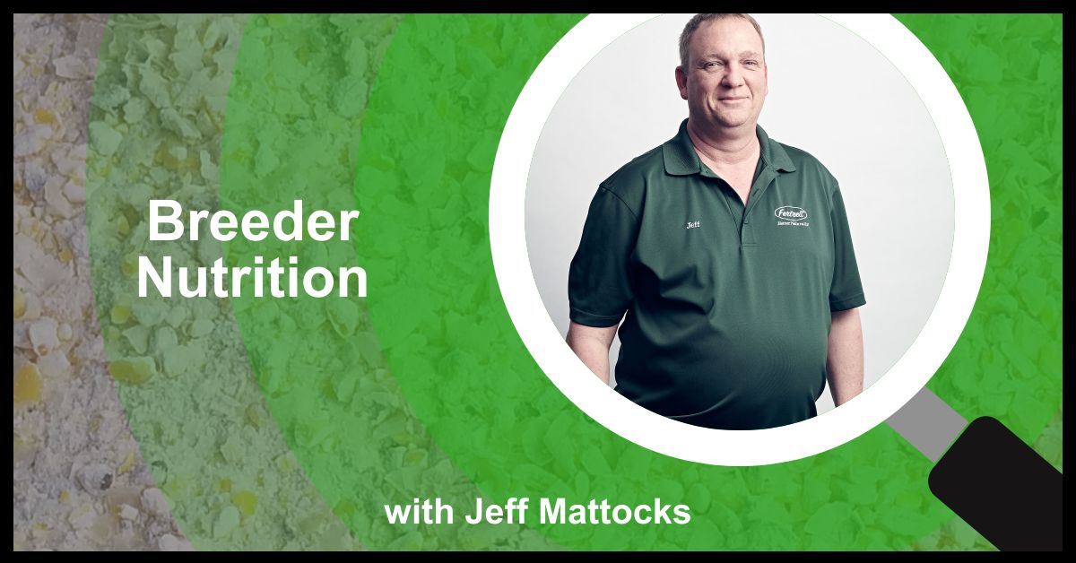 breeder nutrition with Jeff