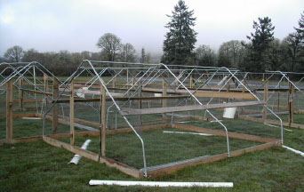 10x12 pastured poultry shelter